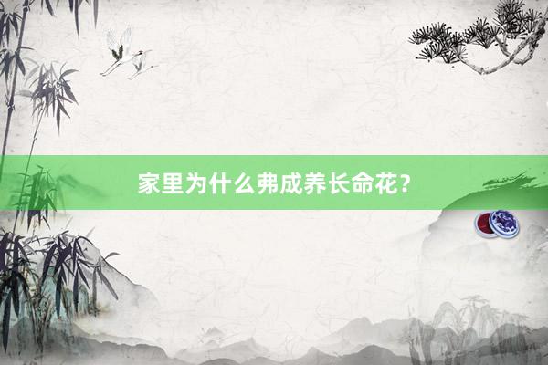 家里为什么弗成养长命花？