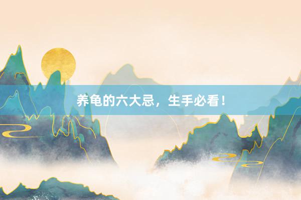 养龟的六大忌，生手必看！